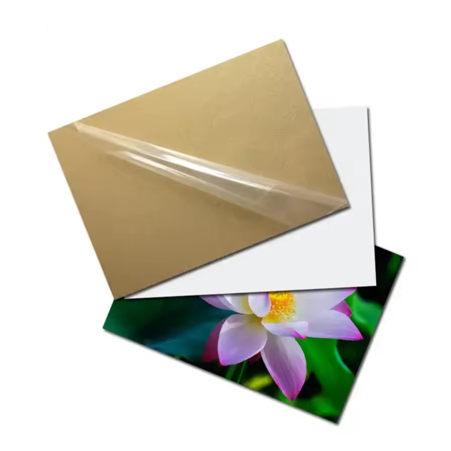 Product Importer Gallery 04 · 6c4ec59482