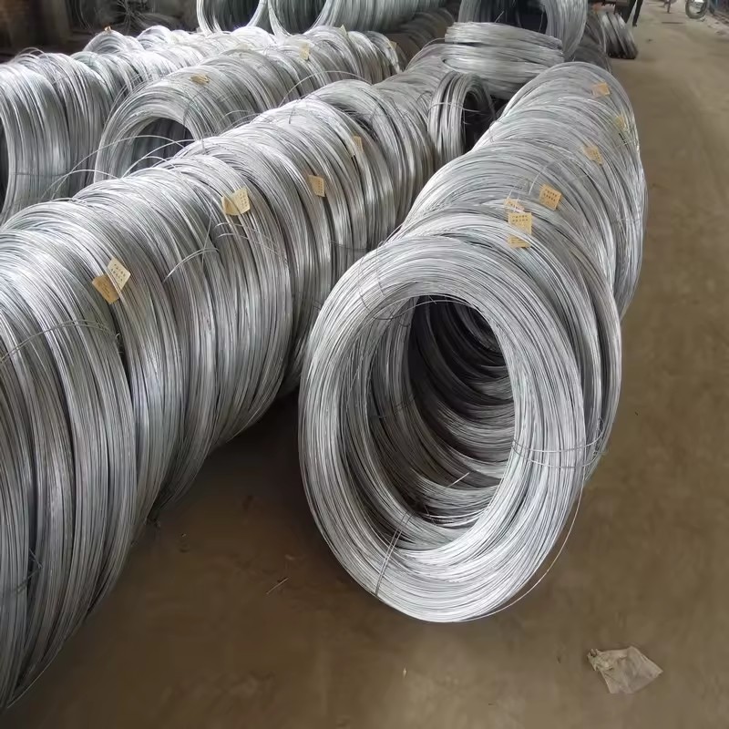Product Importer Gallery 05 · 2895492c8e