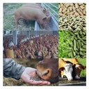 Product Importer Gallery 01 · e143b819f6
