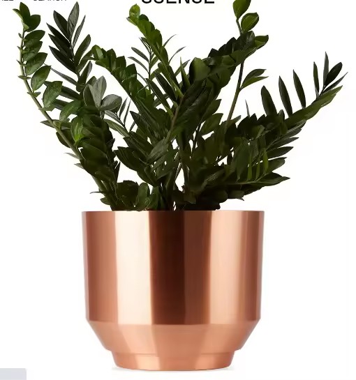 Product Importer Gallery 01 · 592b216631