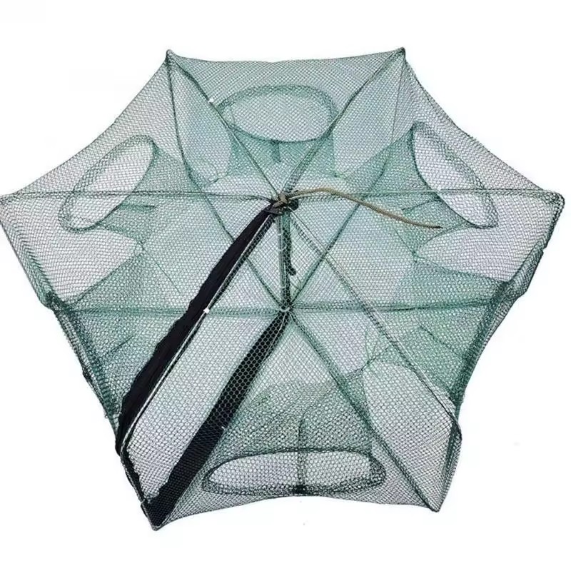 Product Importer Gallery 01 · 5c79fa6769