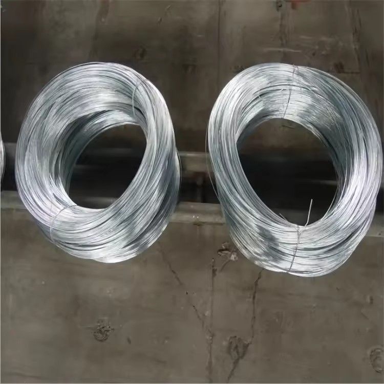 Product Importer Gallery 05 · 72c05b68a3