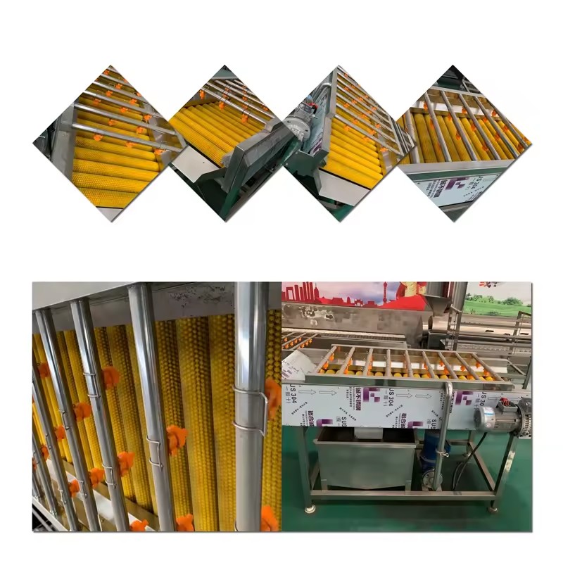Product Importer Gallery 03 · ec238da653