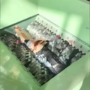Product Importer Gallery 01 · 5e387d6435