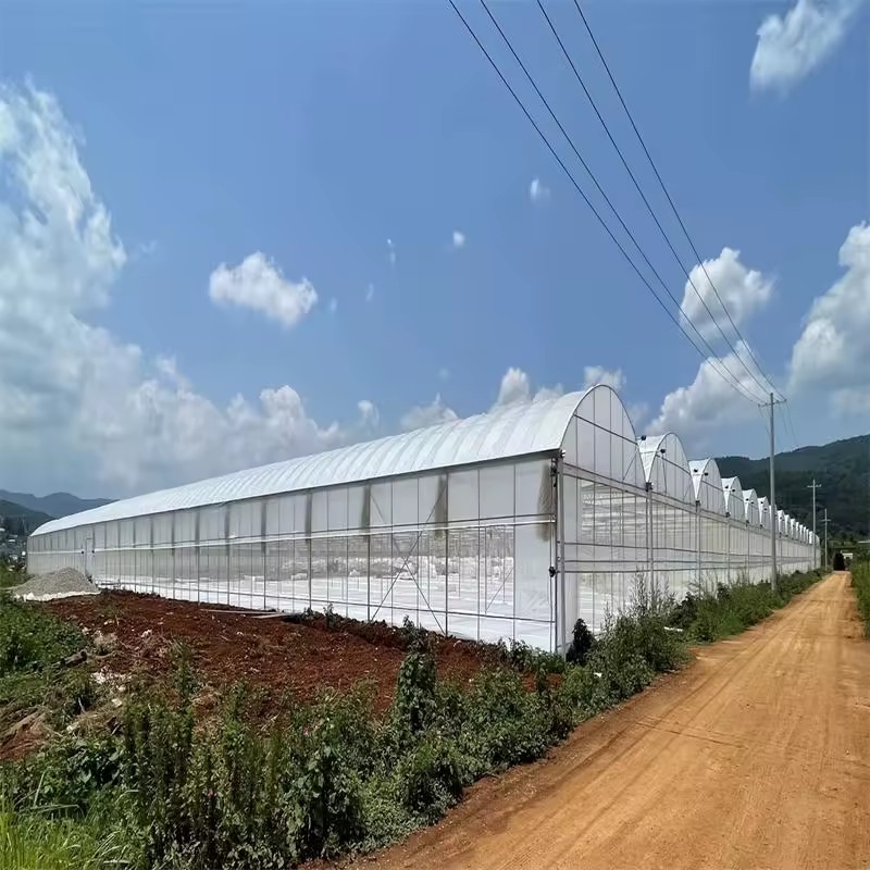 Product Importer Gallery 04 · d53dd18480