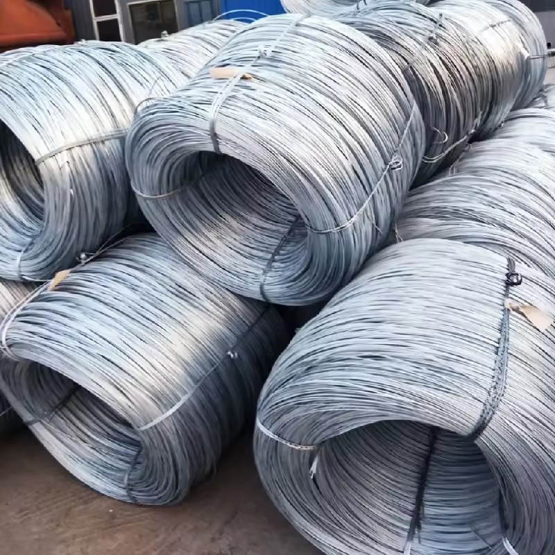 Product Importer Gallery 02 · 94376fe3e6