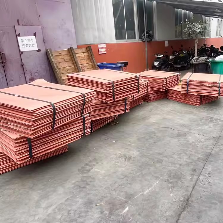 Product Importer Gallery 04 · bd0f71f5f8