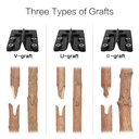Product Importer Gallery 04 · e543e589ca