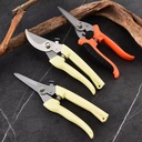 Product Importer Gallery 04 · d029e5ae98