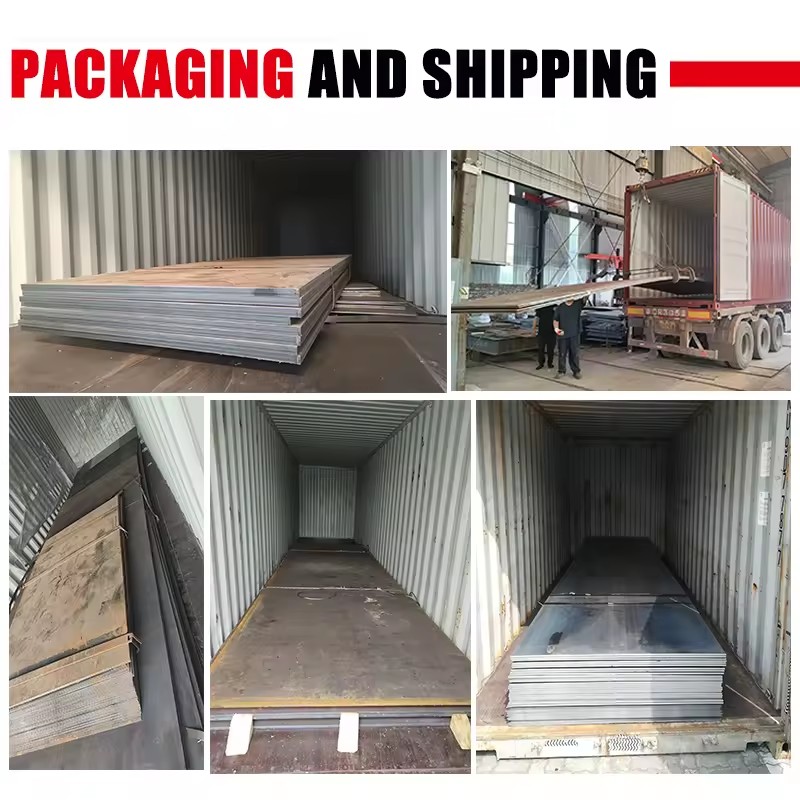 Product Importer Gallery 02 · 1767cce67a