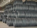 Product Importer Gallery 01 · 2b747ef548