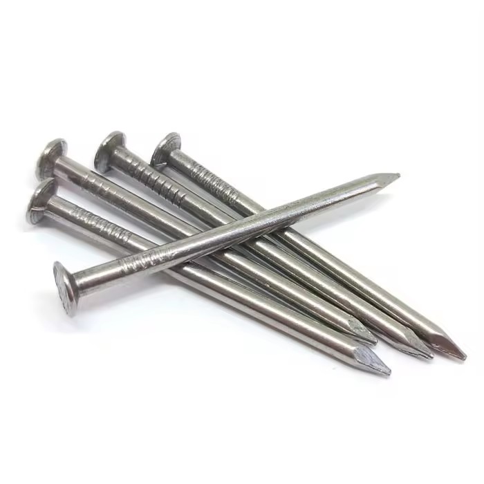 Product Importer Gallery 04 · 5160fcb518
