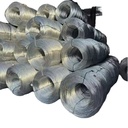 Product Importer Gallery 05 · 8f6958579b
