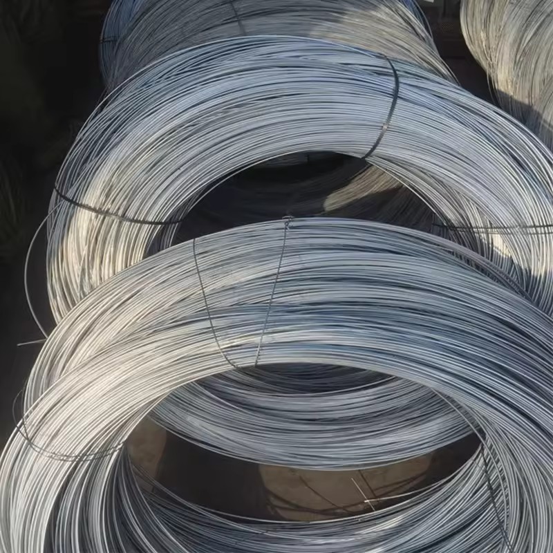 Product Importer Gallery 02 · 7759dfbf2a