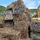 Product Importer Gallery 04 · ea5a240301
