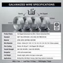 Product Importer Gallery 04 · 7dc0ceec51