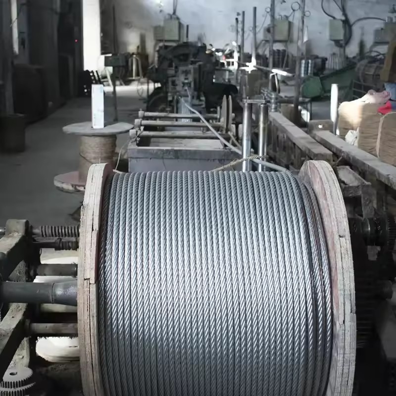 Product Importer Gallery 03 · 003f095abb