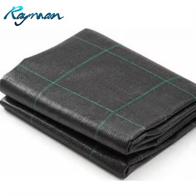 Product Importer Gallery 01 · f8384c6549