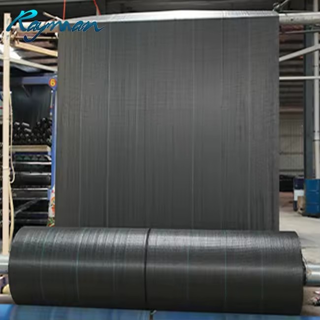 Product Importer Gallery 02 · 306e906318