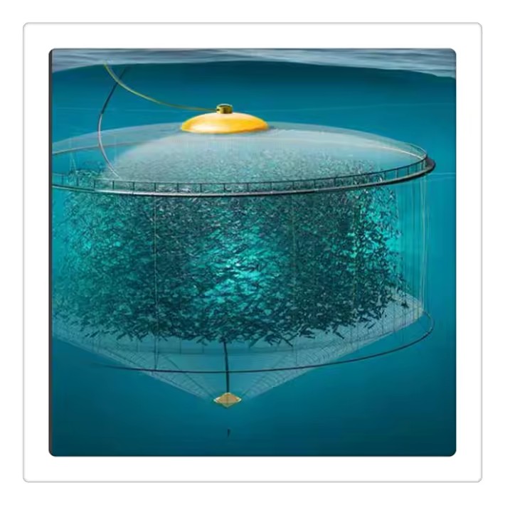 Product Importer Gallery 02 · 8086a95708