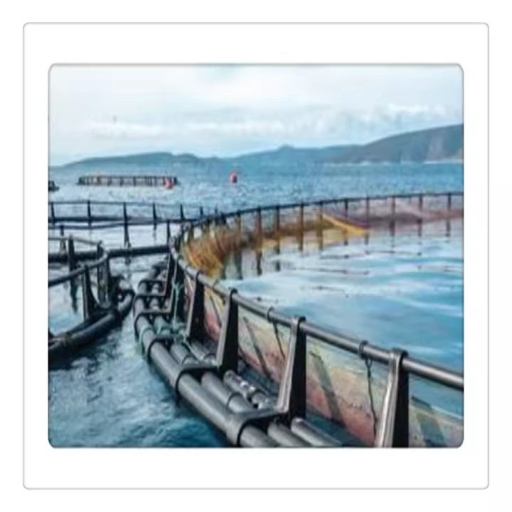 Product Importer Gallery 02 · 2eb46e1d75