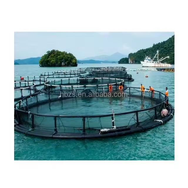 Product Importer Gallery 05 · 32f8489cef