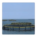 Product Importer Gallery 03 · a0b208474b