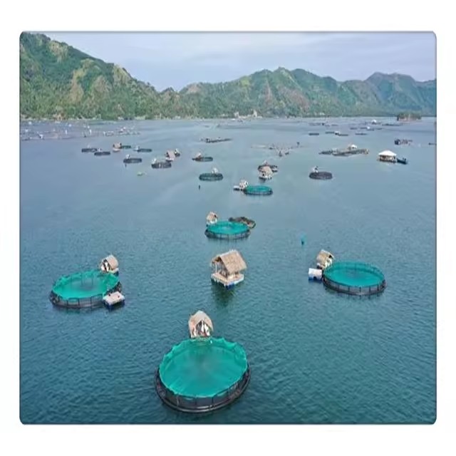 Product Importer Gallery 04 · 196efcfc24