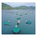 Product Importer Gallery 04 · 196efcfc24