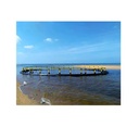 Product Importer Gallery 01 · 5c841b81db