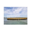 Product Importer Gallery 02 · 5e1c00bab0