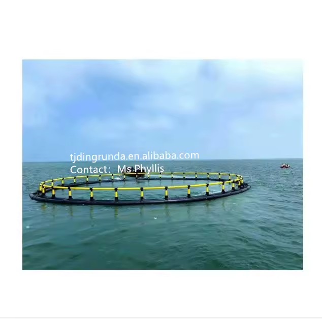 Product Importer Gallery 01 · bf77479f09
