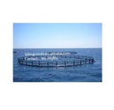 Product Importer Gallery 01 · 478879d6e6