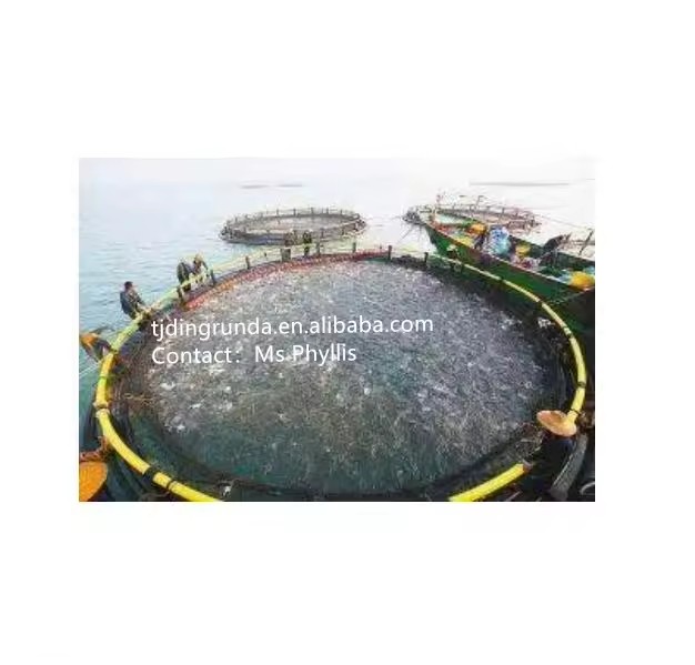 Product Importer Gallery 02 · f5f7e64178