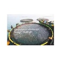 Product Importer Gallery 02 · f5f7e64178