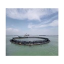 Product Importer Gallery 03 · 1f40c0294b