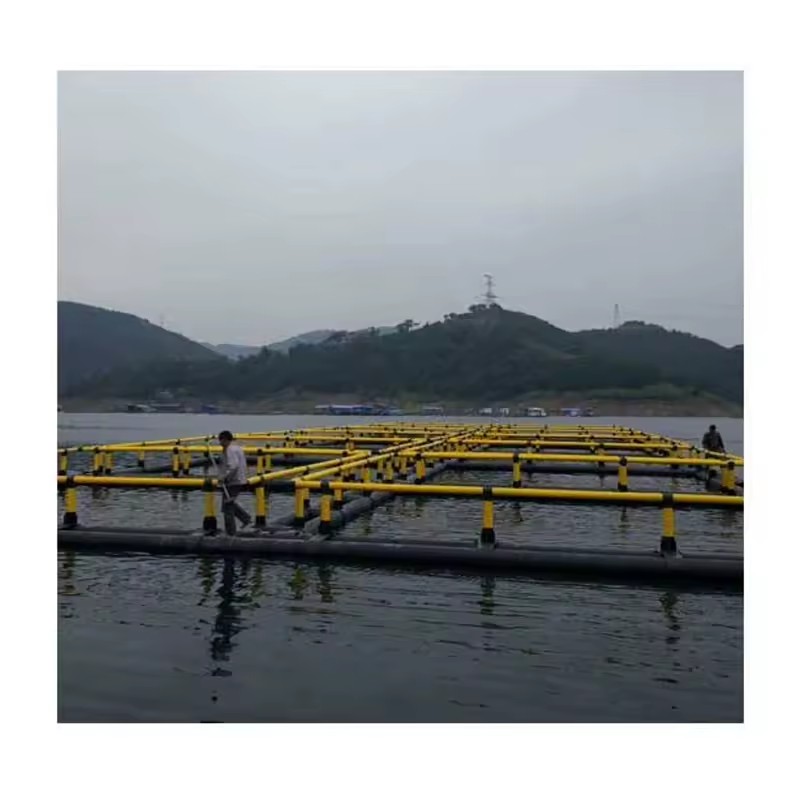 Product Importer Gallery 01 · 0831ecf17f