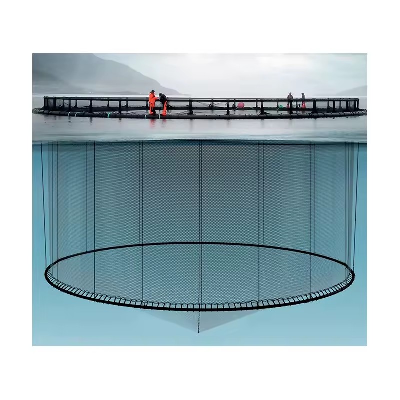 Product Importer Gallery 01 · aa2f1d2350