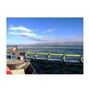 Product Importer Gallery 02 · 8f2d3d1031