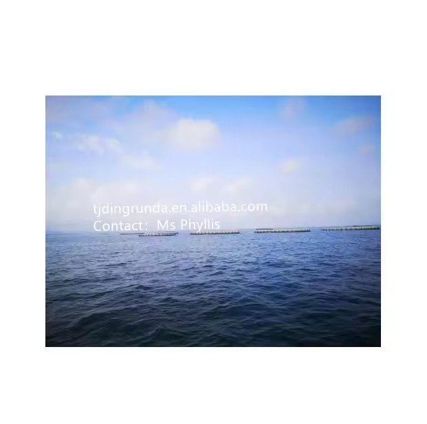 Product Importer Gallery 05 · 9600e63db1