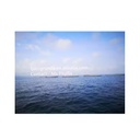 Product Importer Gallery 05 · 9600e63db1