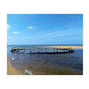 Product Importer Gallery 01 · f7b18c9232