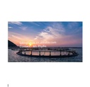 Product Importer Gallery 04 · 116c532516