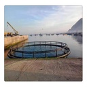 Product Importer Gallery 04 · 1eed861dee