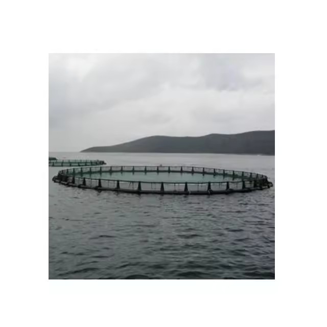 Product Importer Gallery 05 · 8ce72b5f96