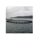 Product Importer Gallery 05 · 8ce72b5f96