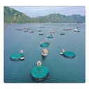 Product Importer Gallery 05 · b4a9f7e415