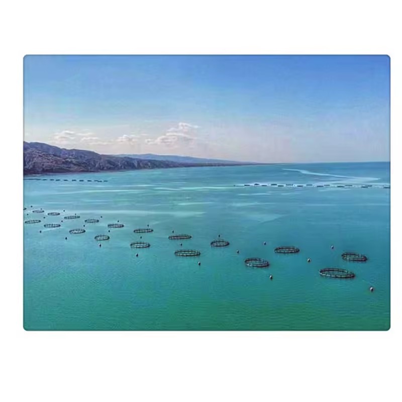 Product Importer Gallery 02 · 9921d35926