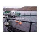 Product Importer Gallery 03 · 657471b020