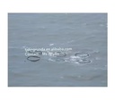 Product Importer Gallery 05 · a3c0bfc807